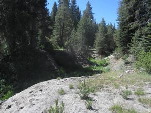 Photo of the erosion gully that has caused dewatering of wetlands in Cahoon Meadow. NPS Photo