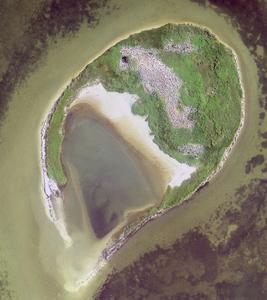 Aerial photo of Pelican Island, a high use rookery island 