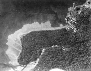 1929 Aerial image of Sitka National Monument showing open field south of Kiks.adi fort site.