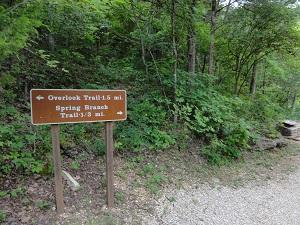 Image of trail sign with arrows pointing two different directions.