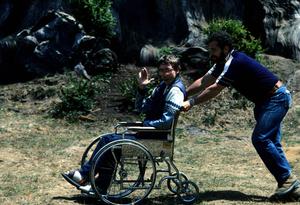 visitor in wheelchair with redwood tree background