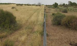New fence along the park boundary showing the difference in vegetation due to livestock grazing.