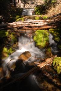 Annie Spring Spillway in Crater Lake NP, 2009