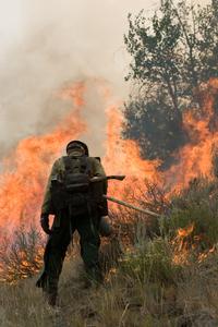 A firefighter initiating a prescribed burn (NIFC image)