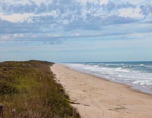 Canaveral National Seashore