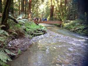 Long view of Redwood Creek with pedestrian bridge in the distance.