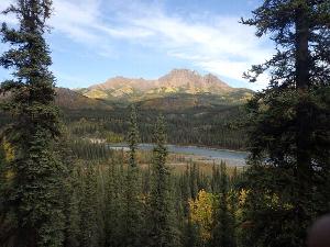 View of Mt. Fellows from a possible trail location in the Nenana River corridor