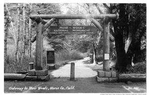Historic black and white photo of the Muir Woods entrance with text handwritten on the bottom left corner reading "Gateway to Muir Woods, Marin Co., Calif.". Photo provided by Golden Gate NRA, Park Archives, Muir Woods Collections, GOGA 32470.