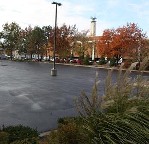 Photo of visitor parking lot western side showing location for new dogwood trees and hostas.