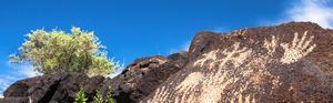 Photo of Petroglyph