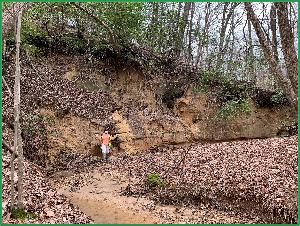Photo of severe streambank erosion and downcutting.