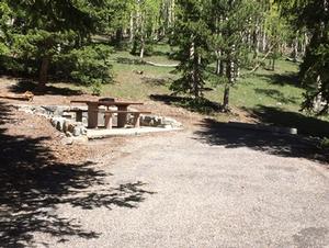 Photo of campsite with campsite pad, picnic table, and flagstone wall. 