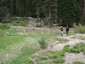 Photo of two biologists looking at the large gully in lower Halstead Meadow. 