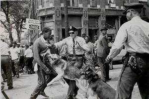 Photo from Birmingham Campaign, Police Dog Attacking Youth, 1963, Bill Hudson