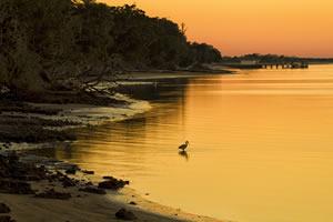 Sunset along Cumberland Sound shoreline and Dungeness Dock on Cumberland Island