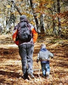 A photo of adult and child hiking on natural dirt trail through forest in autumn.