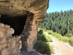 The Island Trail runs beside dwellings built among the limestone cliffs of Walnut Canyon more than 800 years ago.