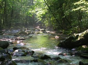 Photo of the Little River in Great Smoky Mountains National Park.