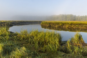 Photo of the York River with mist rising over saltmarsh. Credit: Jerry Monkman