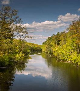 Photo of the Nashua River and its forested riverbanks.