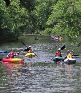 A group of kayakers on the Pawcatuck River.