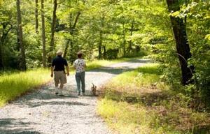 Man and women with the small dog on a leash walking trail in Prince William Forest Park on a sunny fall day.  Leaves have changed color from green to yellow and brown. 