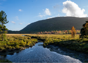 Park Loop Road vista at Great Meadow outlet, looking up at Dorr Mountain.