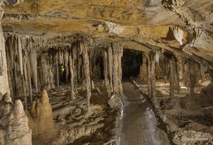 Photo of Trail through Cypress Swamp in Lehman Caves. Photo by Dave Bunnell.