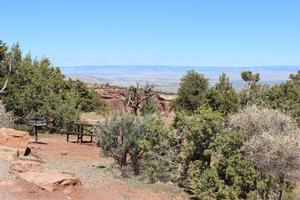 A campsite at the Saddlehorn Campground, surrounded by pinyon pine and juniper trees with a view of Grand Valley.