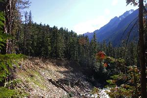 A photo from the Thunder Creek Trail looking upstream and across at an approximately 100-foot tall bluff above Thunder Creek.  This is in the vicinity of McAllister Hiker and Stock Camps.

The area behind the bluff is forested with coniferous trees that are 50 to 100 feet tall.  In the background is a craggy mountain with snow near its top.