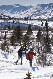 A photograph of two people snowshoeing across a snowy and mountainous landscape.