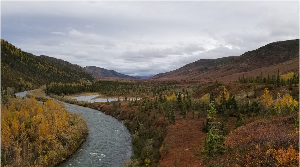 View of Moose Creek running through Moose Creek Valley. The valley is full of fall's colors with reds, oranges, and yellows, but colors are muted due to overcast skies.