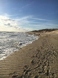 Escarped beach conditions in Cape Hatteras National Seashore