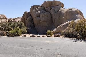 Typical Joshua Tree National Park Campground setting.