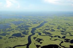 Expansive aerial view of Lane River at Everglades National Park.