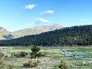 Photo of Moraine Park, a large expansive meadow and the Big Thompson River meandering through the park. Elk browsing along the river and throughout the park. Exposed rock outcroppings on Rams Horn Mountain visible in the background.